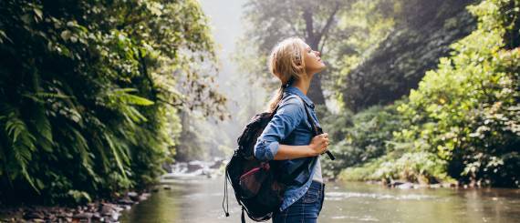 Ecotourism and Sustainability